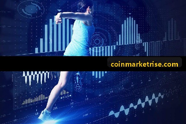 币安链上巨鲸资金走向示意图